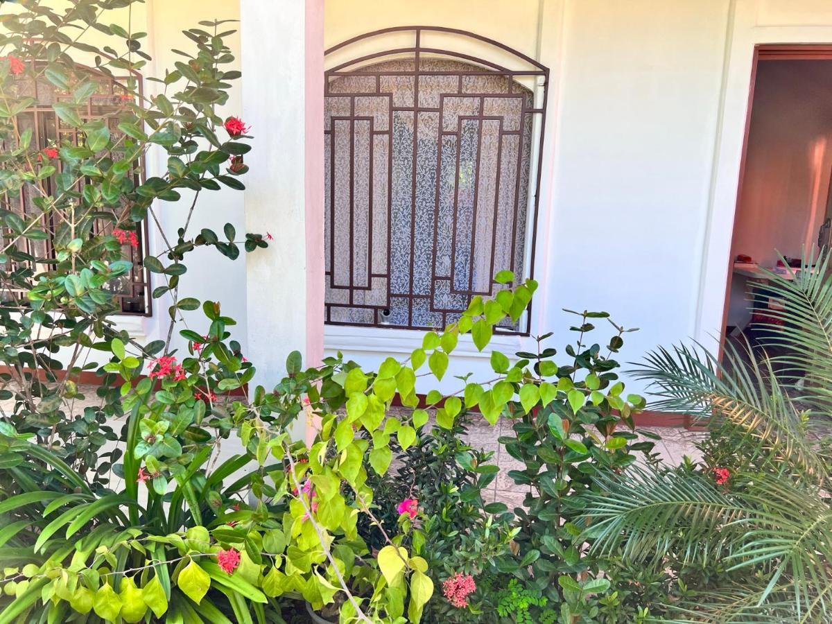 Natural Experience House Tortuguero Exterior photo
