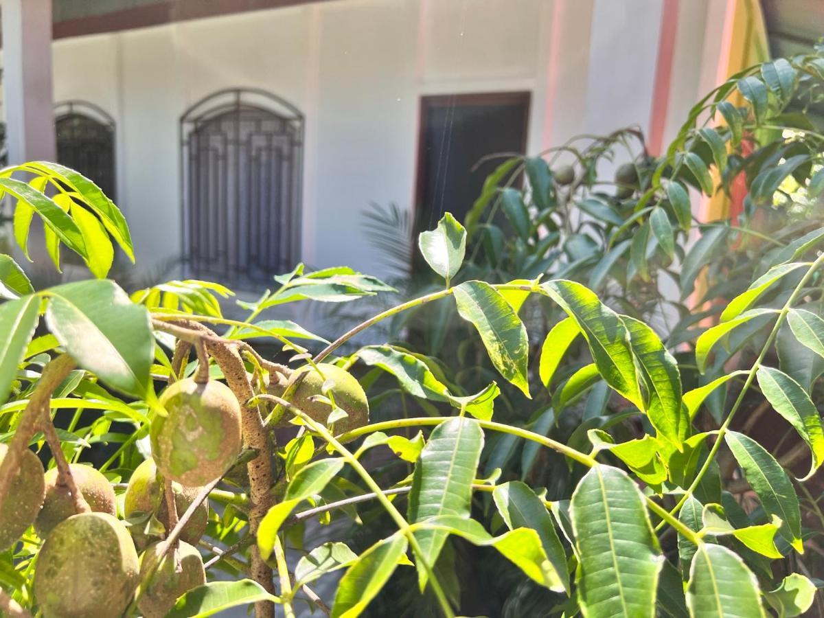 Natural Experience House Tortuguero Exterior photo