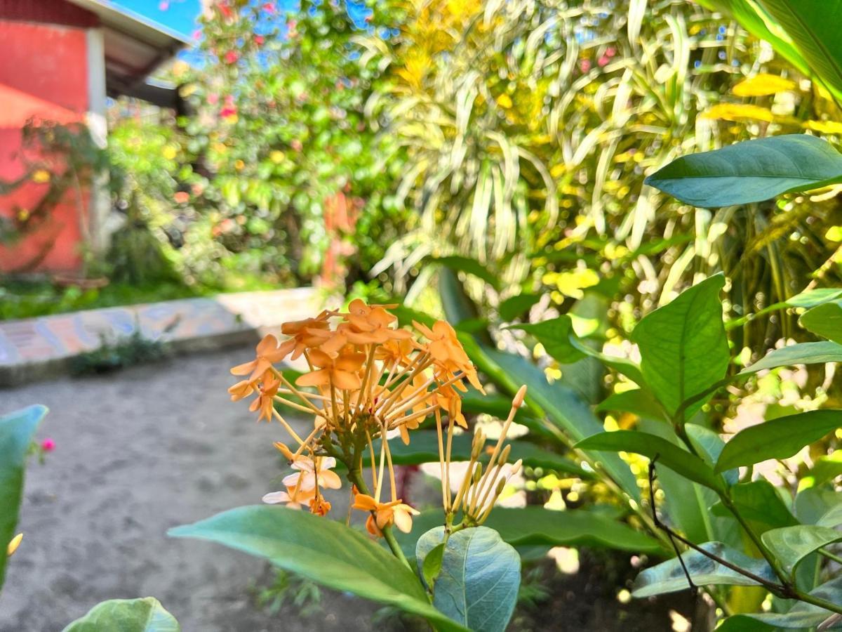 Natural Experience House Tortuguero Exterior photo