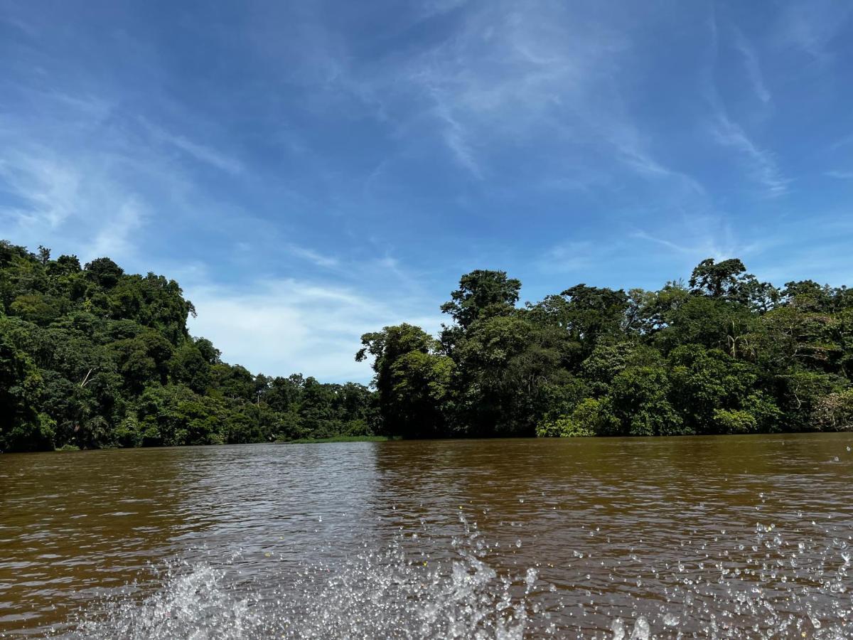 Natural Experience House Tortuguero Exterior photo